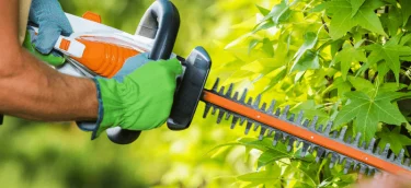 GepflegterGartenmitfrischemGrn-ezgif.com-png-to-webp-converter